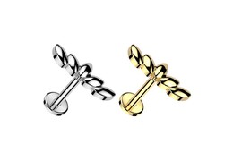 Лабрет вистерия